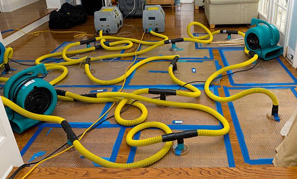 Professional Water Damage Repair technician working in Newburyport, MA